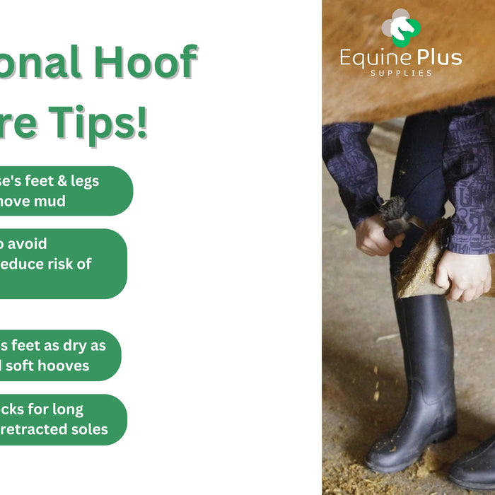 HORSE HOOF CARE