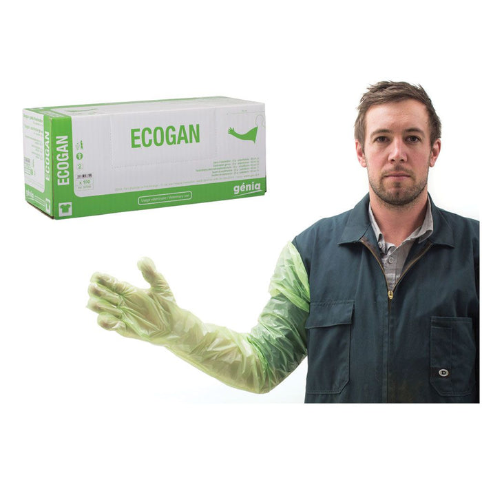 Gloves Exam Genia Ecogan 100pk -EA