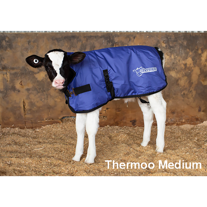 Antahi Thermoo Medium