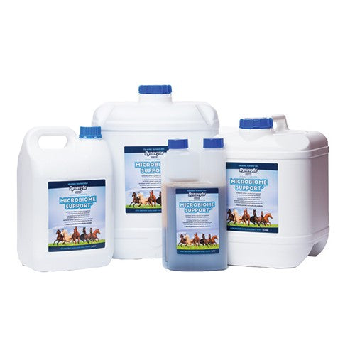 DYNAVYTE EQUINE MICROBIOME SUPPORT
