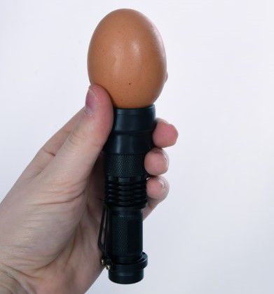 POULTRY EGG CANDLING LAMP