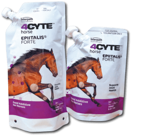 4CYTE EQUINE EPIITALIS FORTE GEL