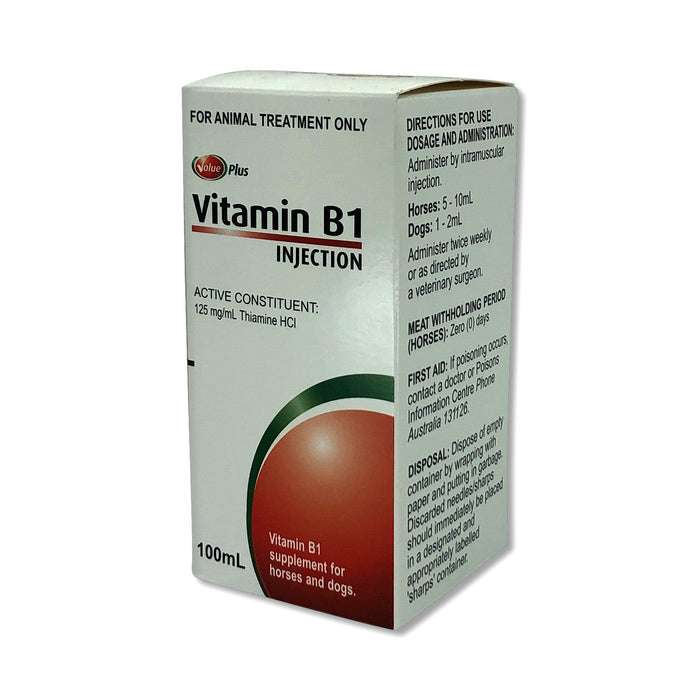 VALUE PLUS VITAMIN B1 100ML