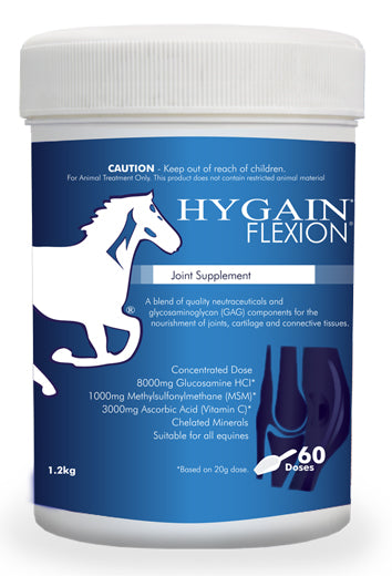 HYGAIN FLEXION