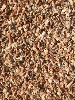 SHELL GRIT COURSE 20KG
