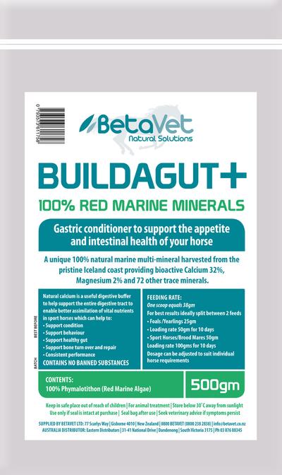 BETAVET BUILDAGUT PLUS