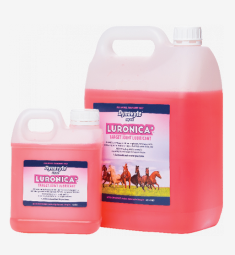 DYNAVYTE EQUINE JOINT LUBE LURONICA 1L