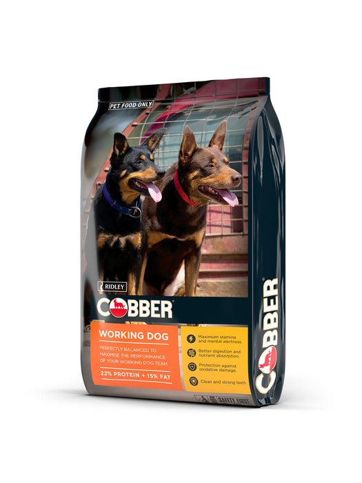 COBBER WORKING DOG 20KG