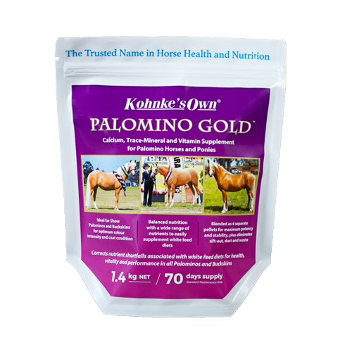 KOHNKE PALOMINO GOLD