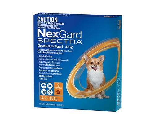 NEXGARD SPECTRA FOR DOGS - 3 CHEWS