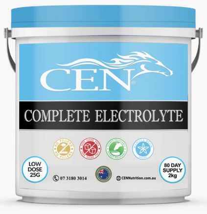 CEN ELECTROLYTE