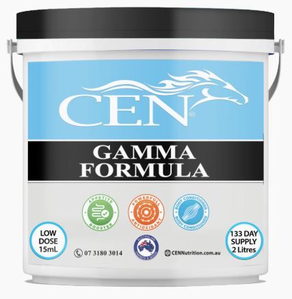 CEN GAMMA
