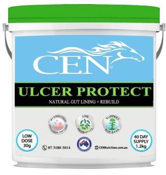 CEN ULCER PROTECT