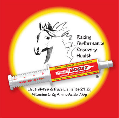 PRO-DOSA BOOST PASTE 80ML TUBE