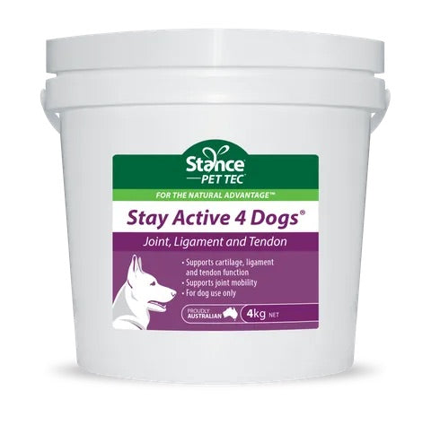 Stance stay active 4 dogs