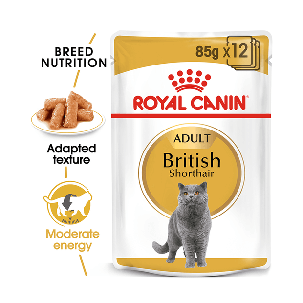 ROYAL CANIN BRITISH SHORTHAIR GRAVY 85G (12PK)