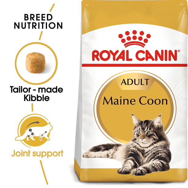 ROYAL CANIN MAINE COON