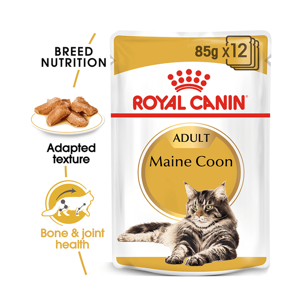 ROYAL CANIN MAINE COON GRAVY 85G (12PK)