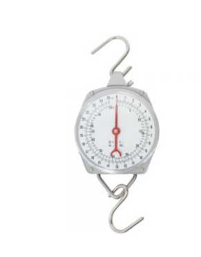 Scale Clockface Quality — EquinePlus Supplies