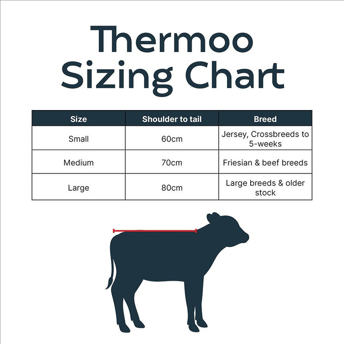 Antahi Thermoo Small Burgundy