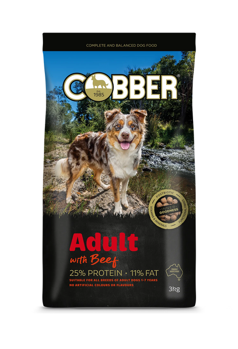 COBBER ADULT WITH BEEF