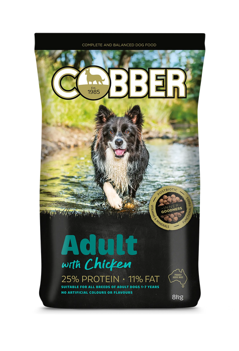 COBBER ADULT WITH CHICKEN