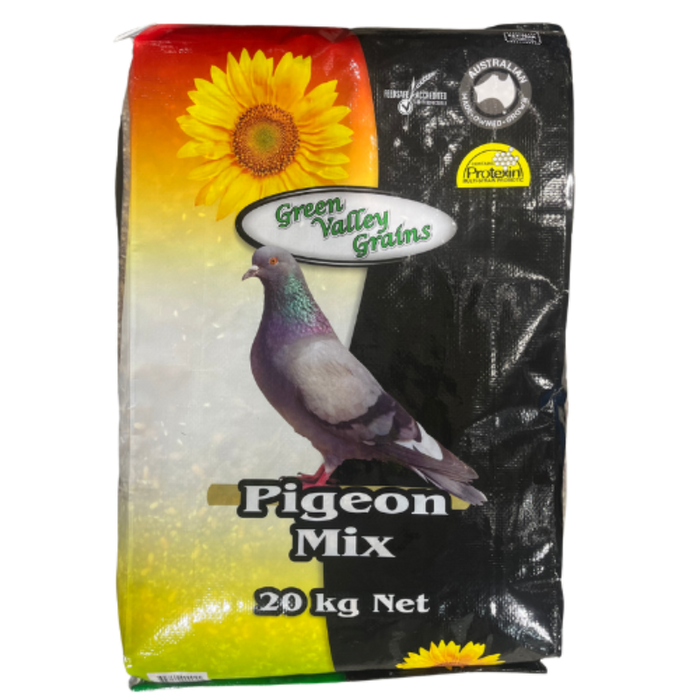 GREEN VALLEY PIGEON