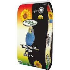 Green Valley Budgie