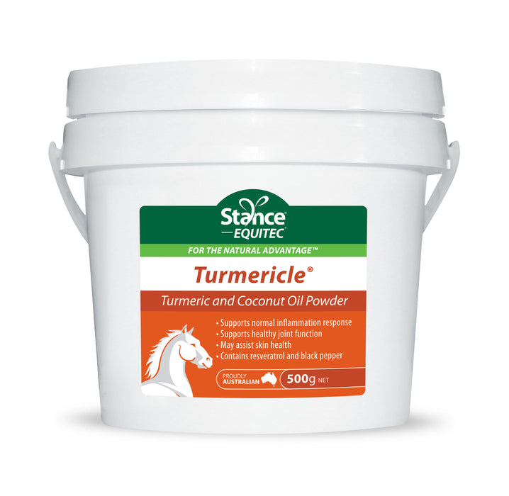 EQUITEC TURMERICLE