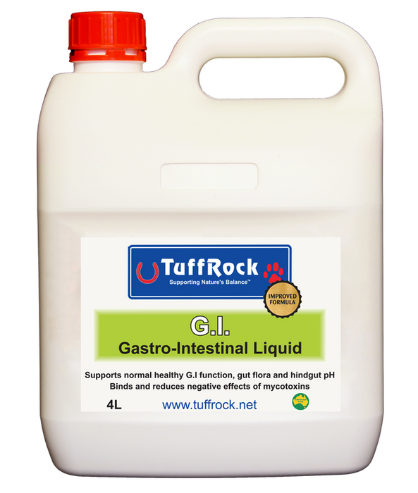 TUFFROCK GI GASTRO INTESTINAL LIQUID