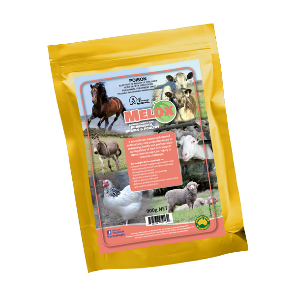 FARMALOGIC MELOX ANTIOXIDANTS