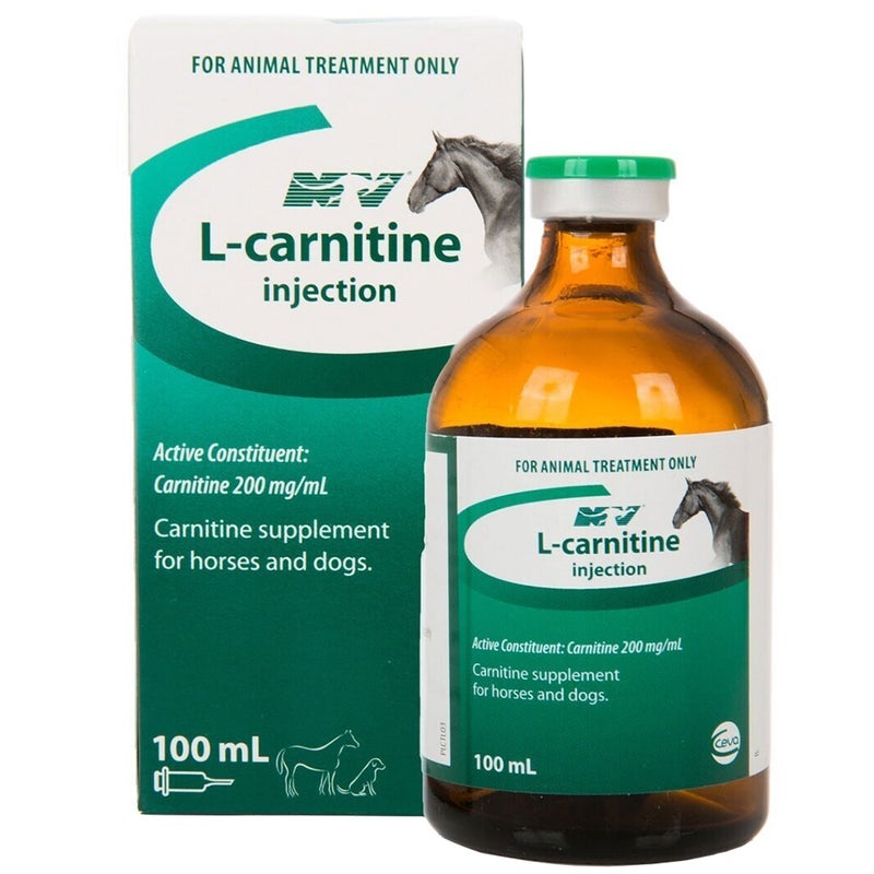 CEVA L-CARNITINE 100ML — EquinePlus Supplies