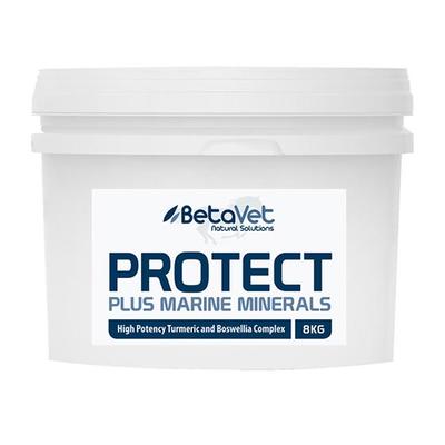 BETAVET PROTECT